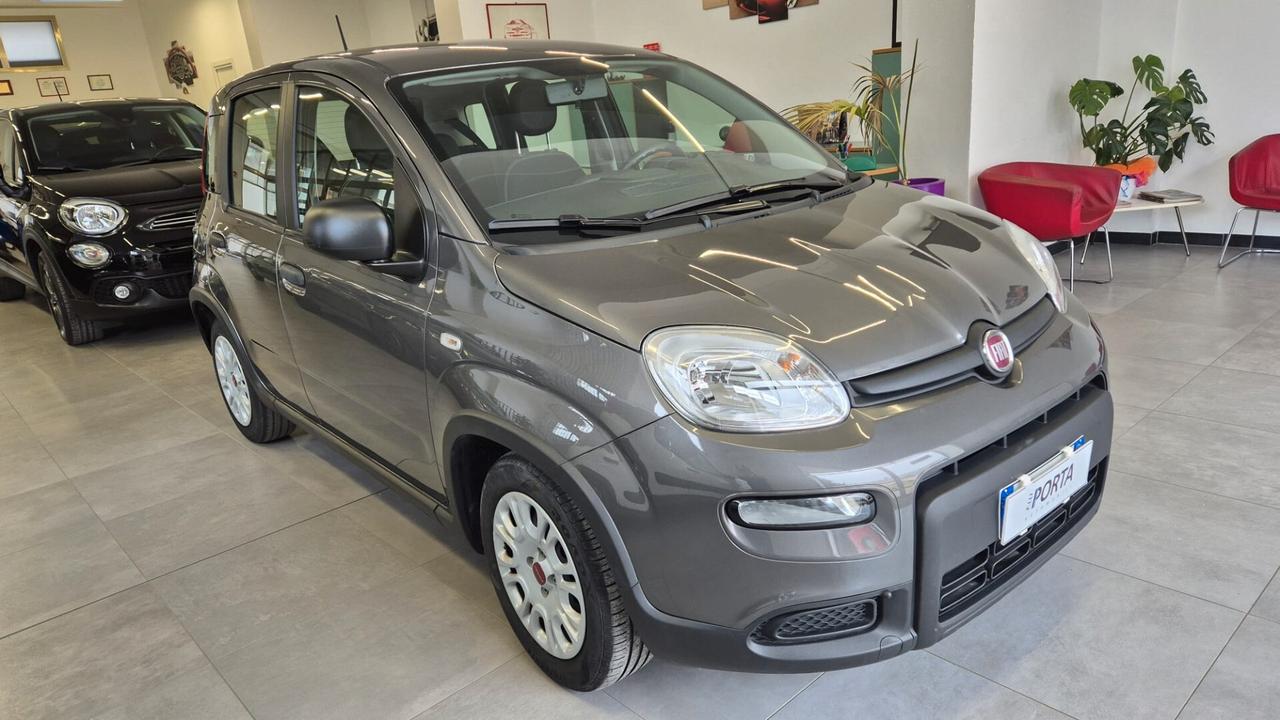 FIAT PANDA 1.0 FireFly 70cv S&S Hybrid City Life