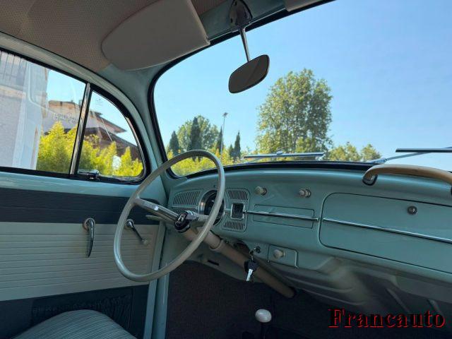 VOLKSWAGEN Maggiolino maggiolino