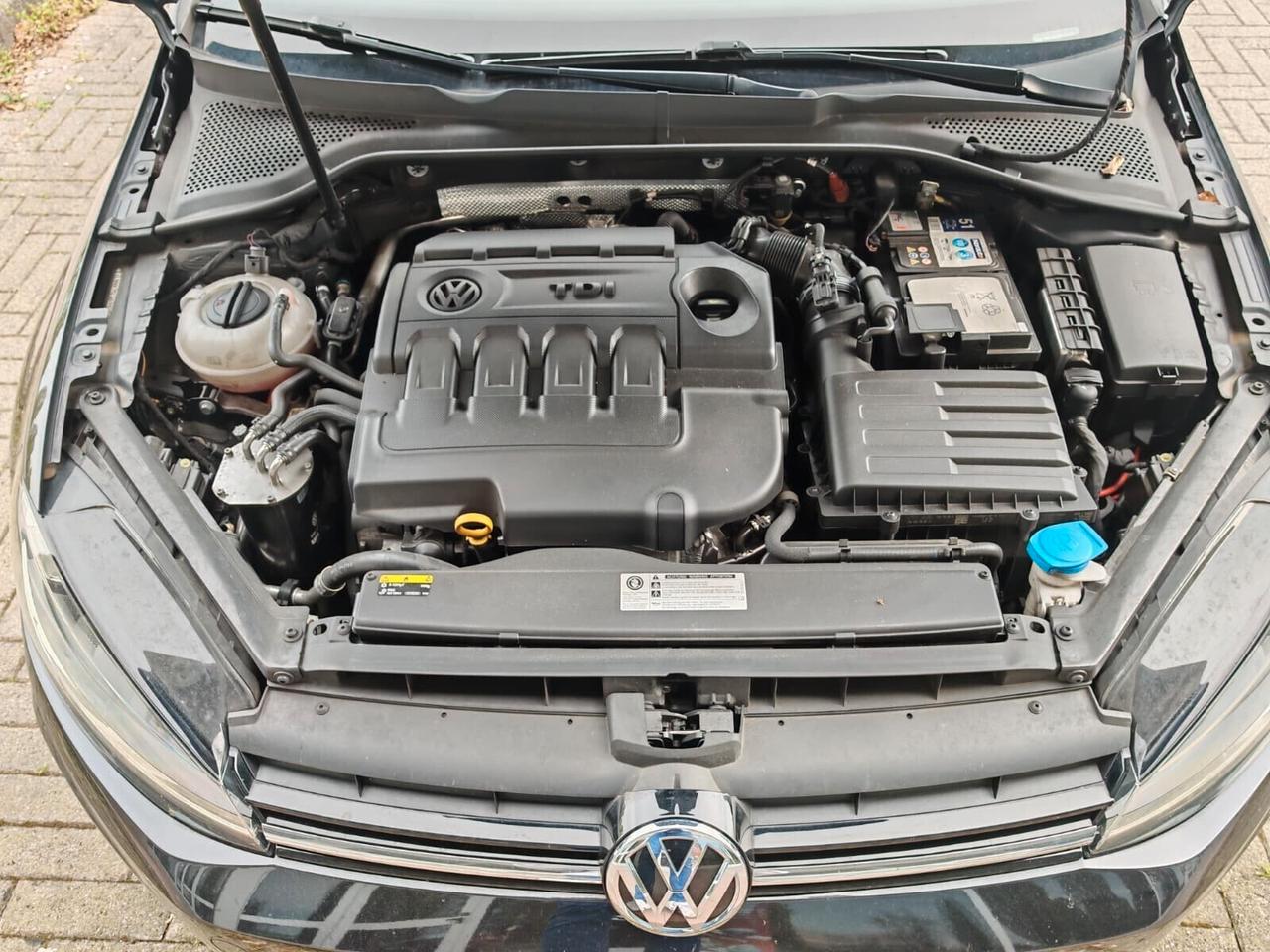 Volkswagen Golf Variant 1.6 TDI 115 CV DSG Executive BlueMotion Tech.