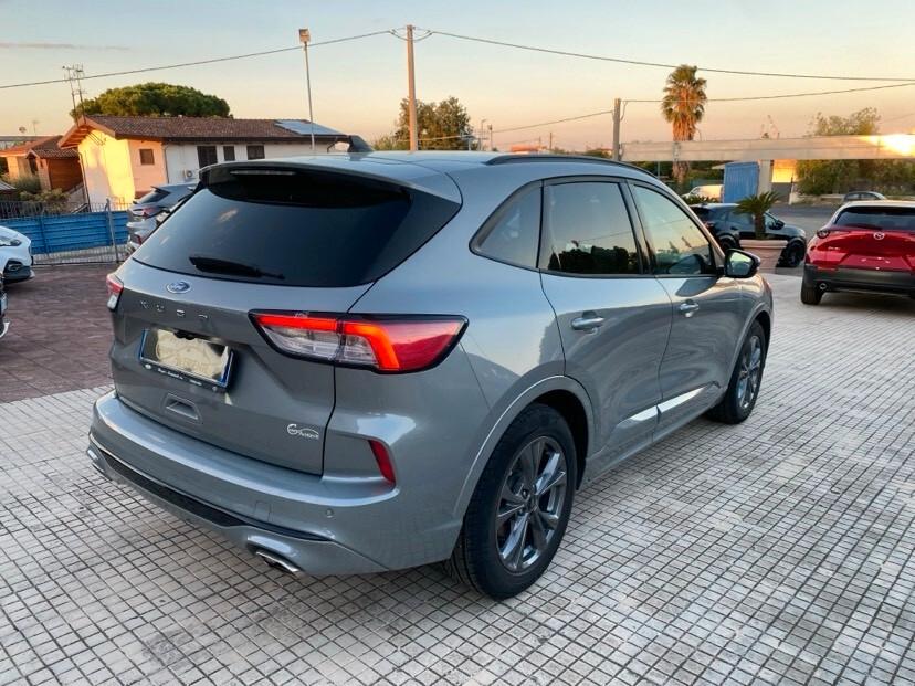 Ford Kuga 1.5 EcoBlue 120 CV 2WD ST-Line