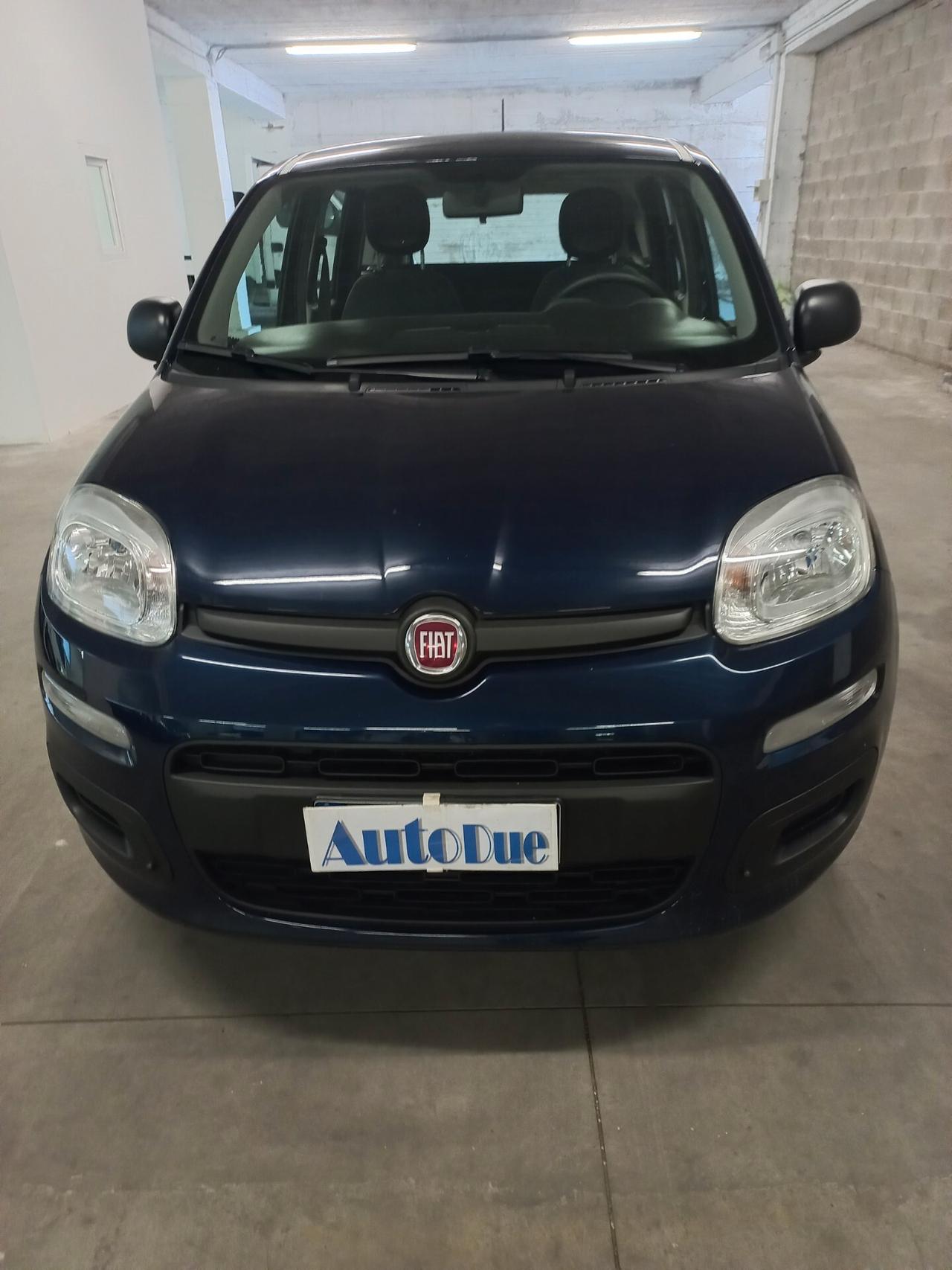 Fiat Panda 1.2 Pop modello Trussardi