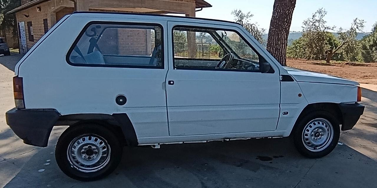 Fiat Panda 900 i.e. cat Young