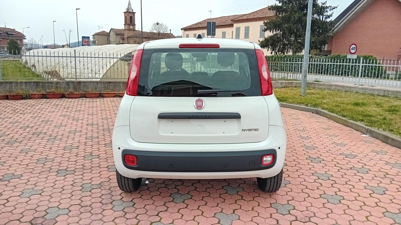 Fiat Panda Pandina 1.0 FireFly 65 CV Hybrid Icon *SENZA VINCOLI DI FINANZIAMENTO*