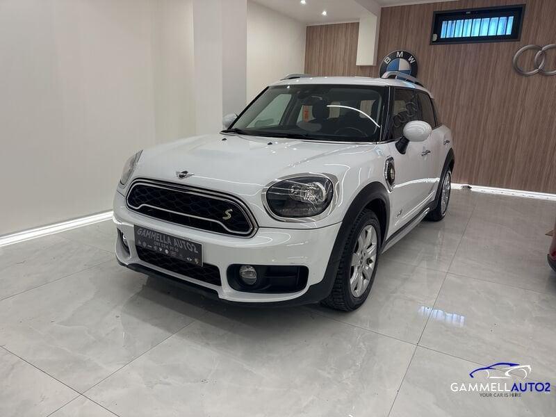 MINI Mini Countryman F60 Mini 1.5 Cooper SE Countryman ALL4 Automatica