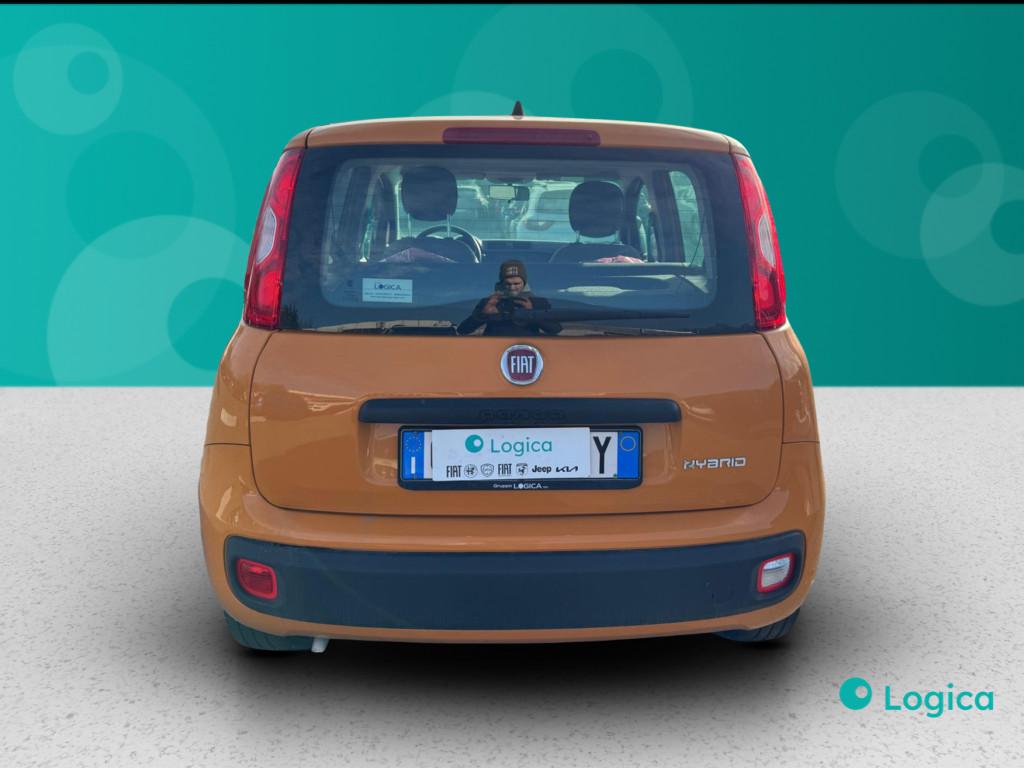 FIAT Panda III 2021 - Panda 1.0 firefly hybrid s&s 70cv