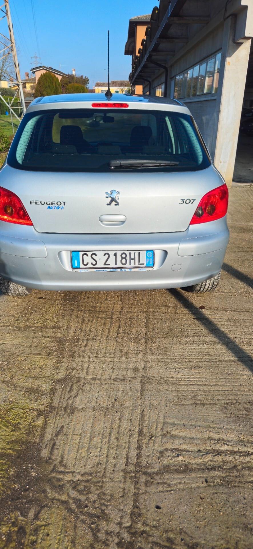 Peugeot 307 1.6 16V BENZINA NEOPATENTATI