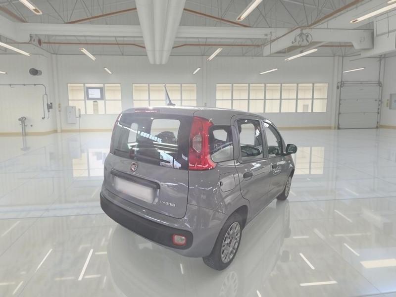 FIAT PANDA 1.0 FireFly 70cv S/S Hybrid 5 PORTE