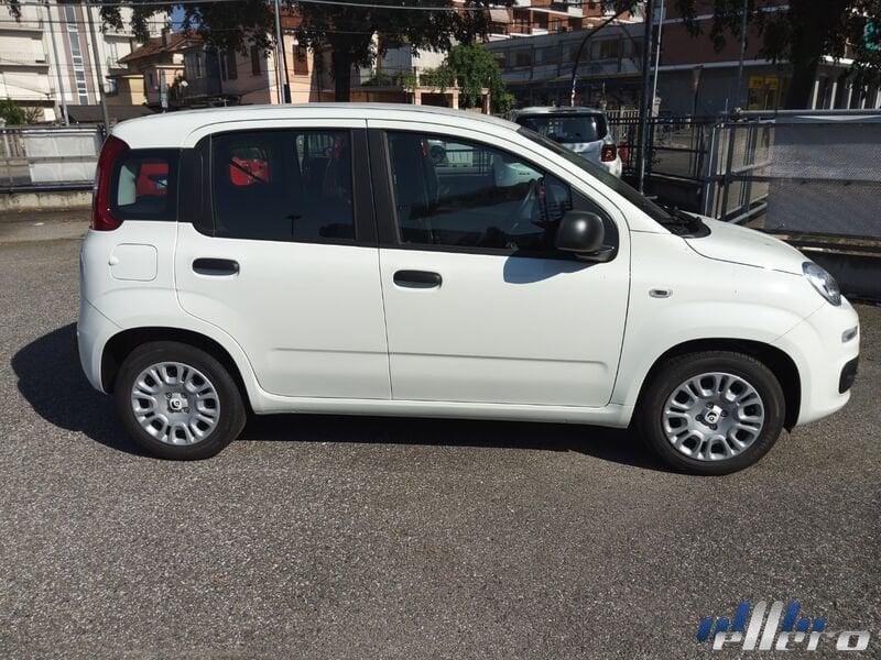 FIAT Panda MY25 1.0 70cv Hybrid
