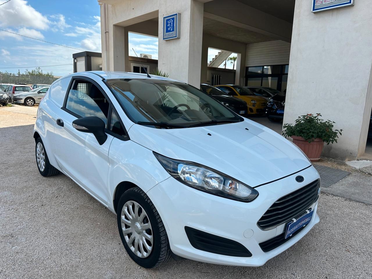 Ford Fiesta 1.5 TDCi 75CV 3pt Business VAN 2017