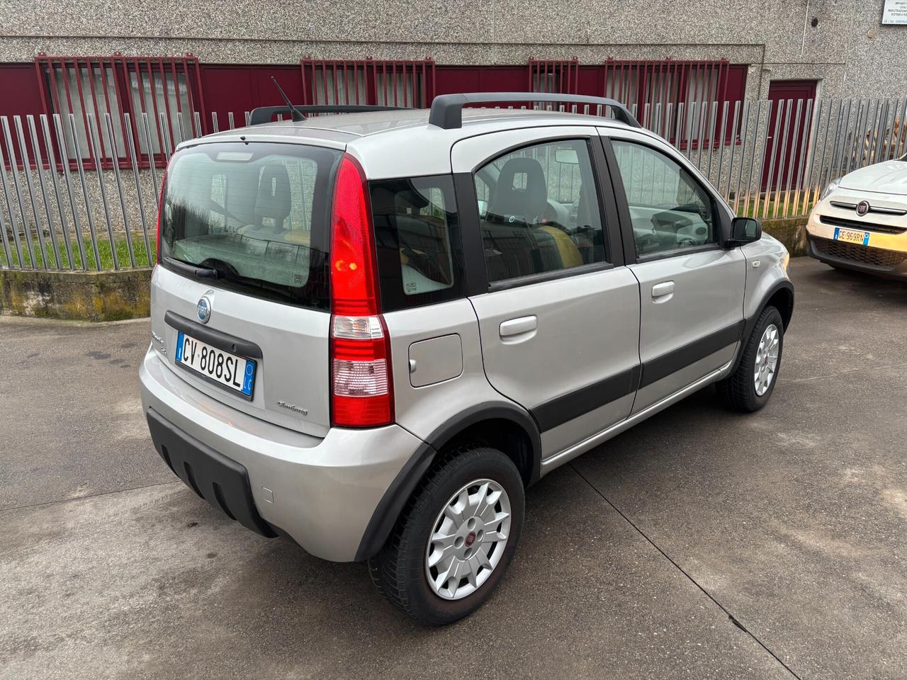 Fiat Panda 1.2 4x4 Climbing