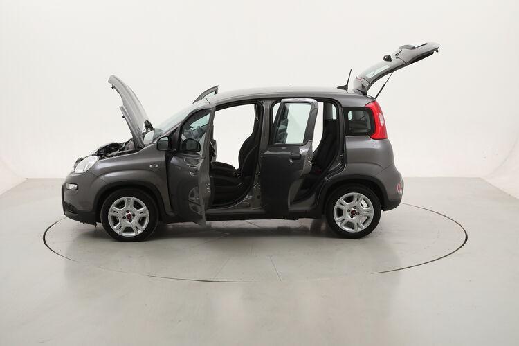 Fiat Panda Hybrid BR003425 1.0 Mild Hybrid 70CV