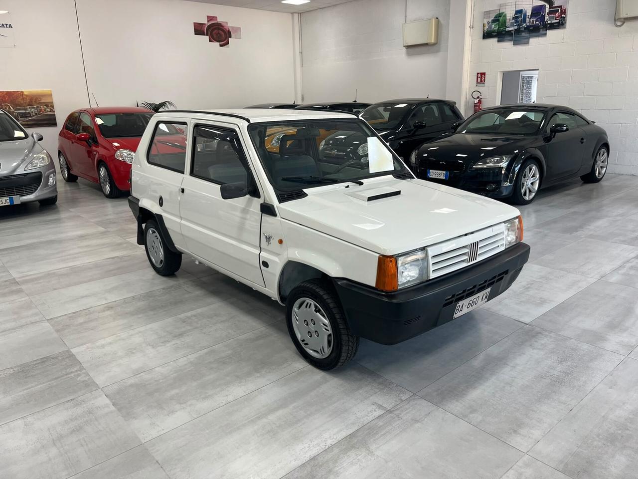 Fiat Panda ASI + CRS
