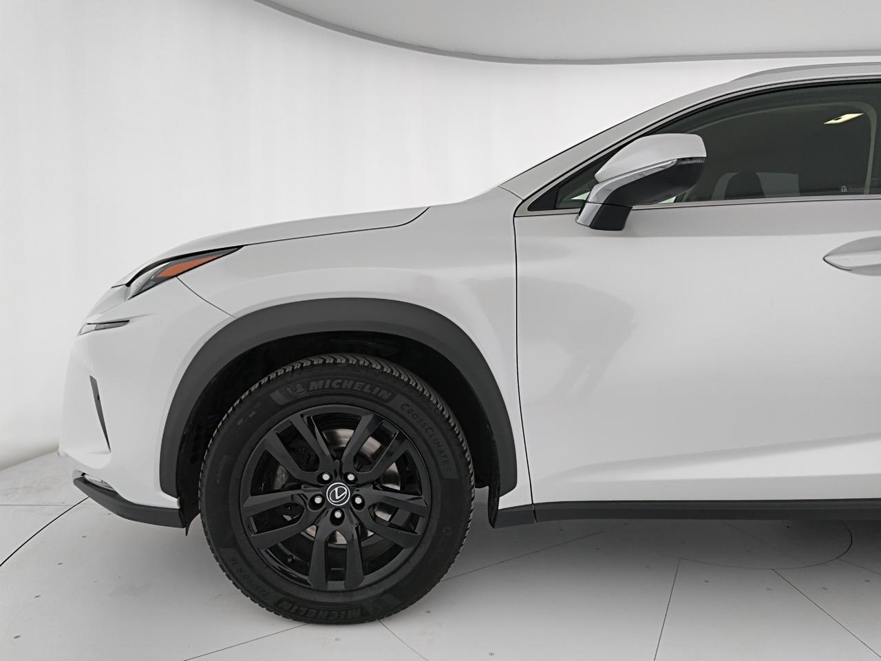 Lexus NX 300h 2.5 Business 2wd