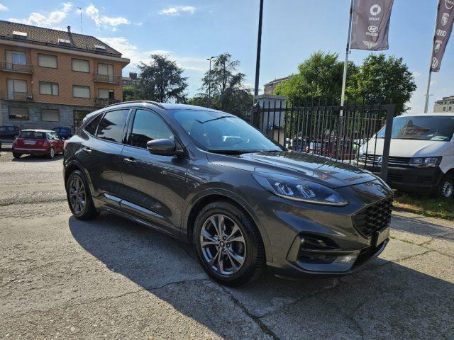 FORD Kuga 1.5 EcoBlue 120 CV 2WD ST-Line