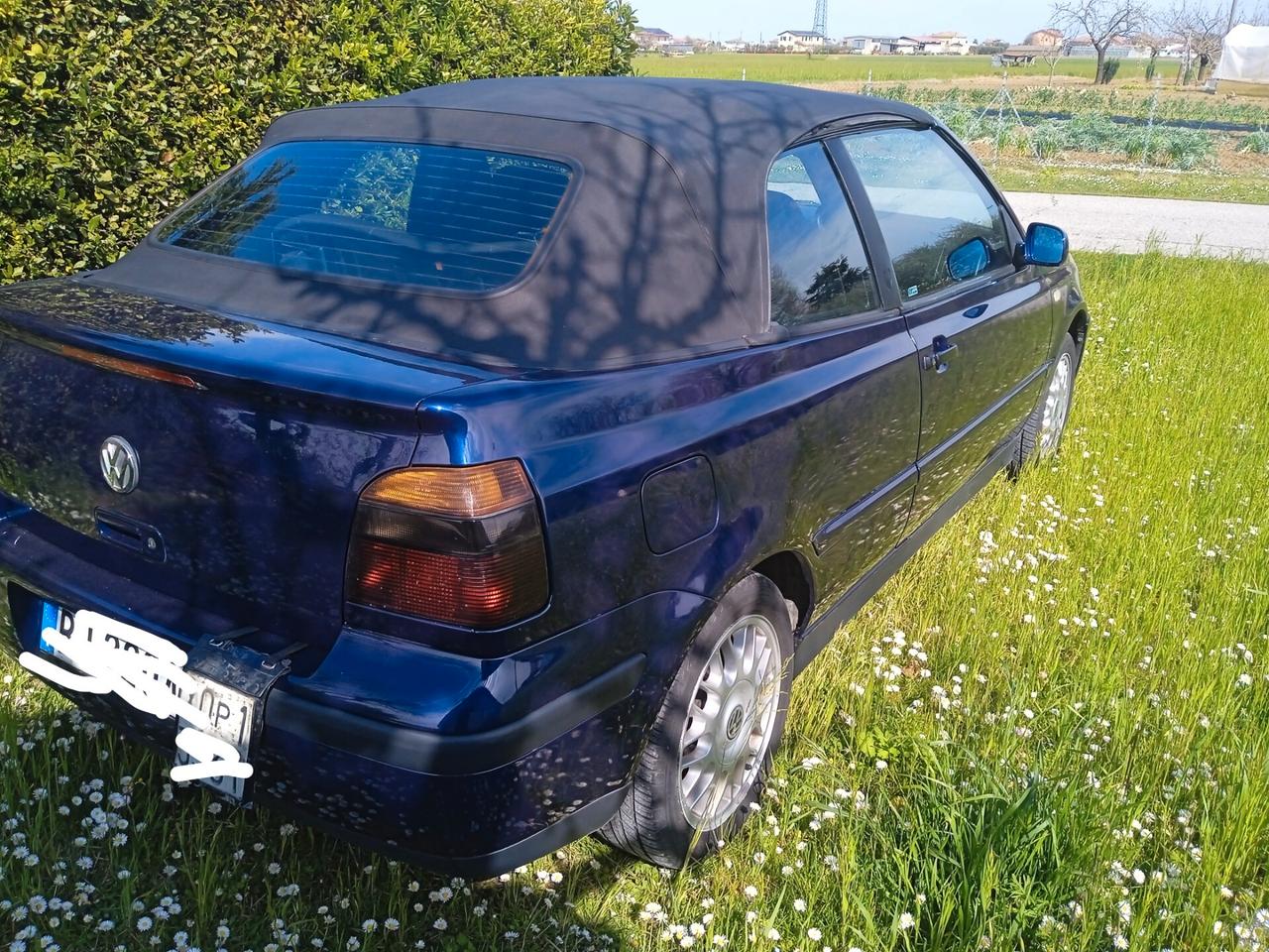 Volkswagen Golf Cabriolet 1.6 cat Highline ASI