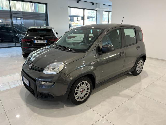 FIAT Panda 1.0 FireFly S&S Hybrid Sensori di parcheggio