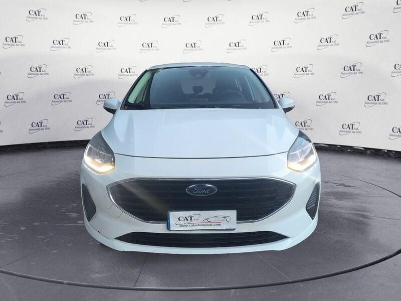 Ford Fiesta Fiesta 1.1 75 CV 5 pPlus