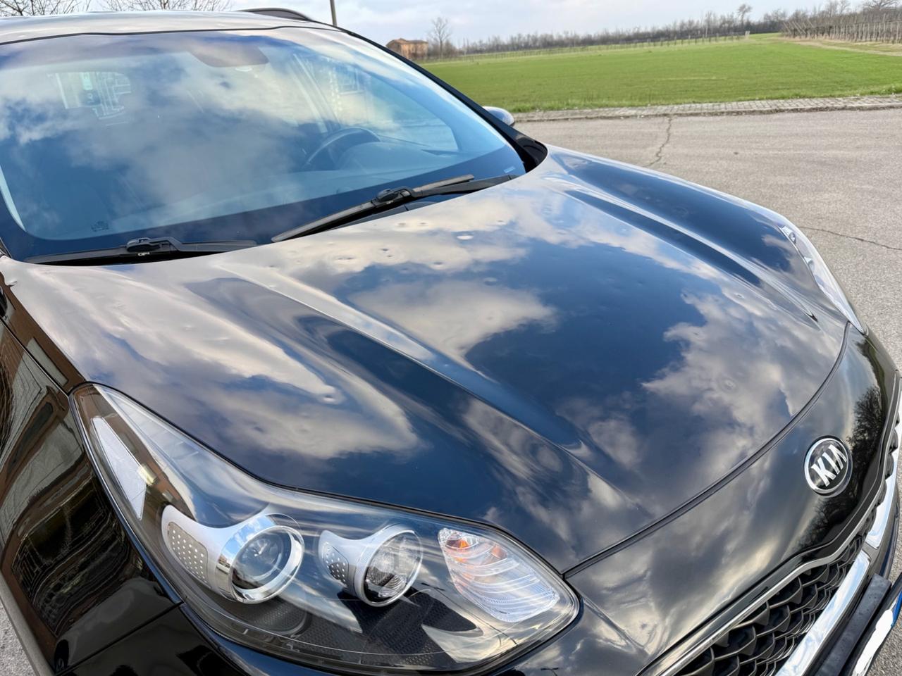 Kia Sportage 1.6 CRDI 115 CV 2WD Business Class