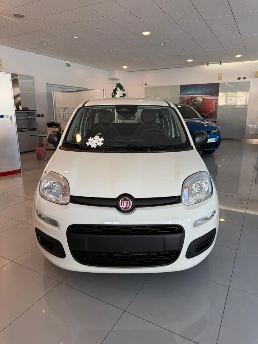 FIAT - Panda - 1.0 FireFly S&S Hybrid Pandina