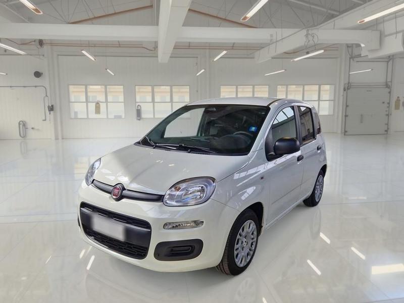 FIAT PANDINA 1.0 FIREFLY 65 CV SES 6M HYBRID ICON 5 PORTE BERLINA