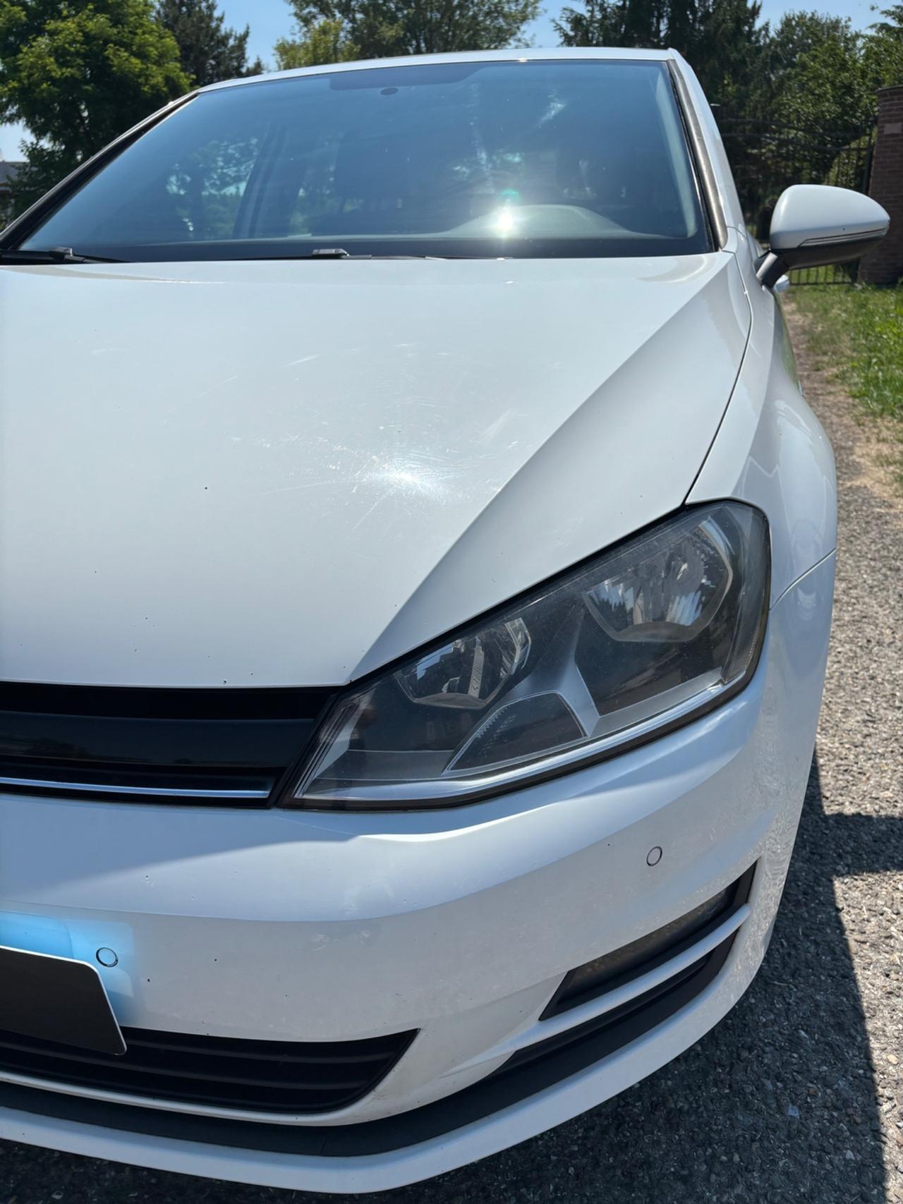 Volkswagen Golf Business 1.4 TGI 5p. Comfortline BlueMotion Solo per export
