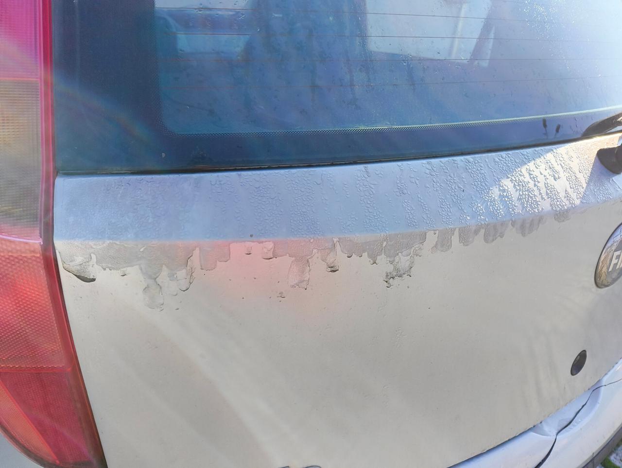 Fiat Punto 1.2 5 porte Active Natural Power