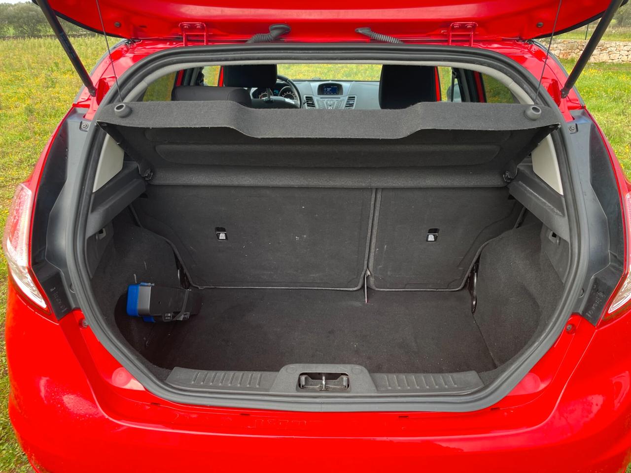 Ford Fiesta 1.0 Ecoboost 100 CV 5 porte Plus finanziabile