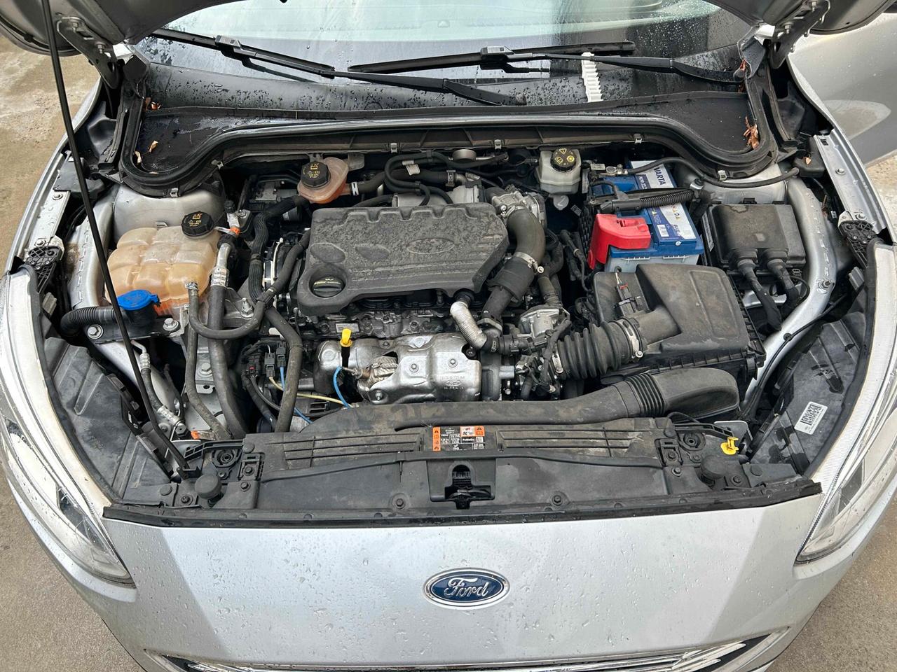 Ford Focus 1.5 TDCi 120CV - 2019 Motore Rotto
