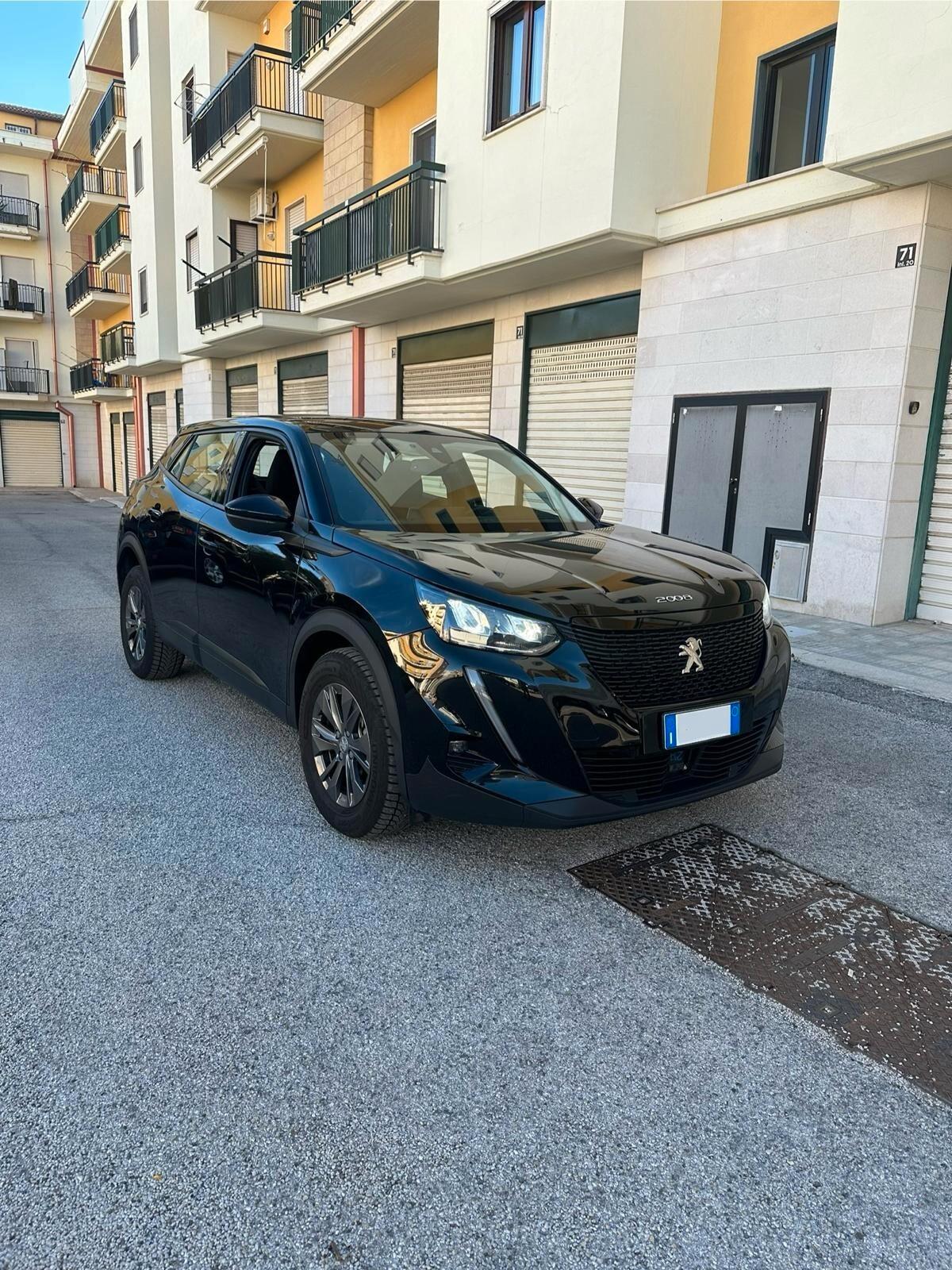 Peugeot 2008 PureTech 100 S&S Active