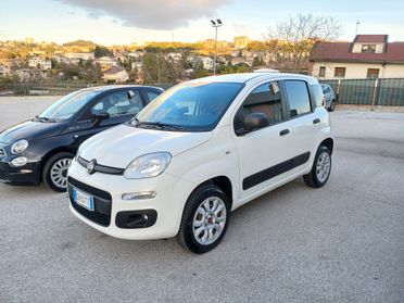 Fiat Panda VAN 4X4 85CV BENZ 2020 2P