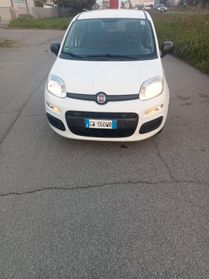 Fiat Panda 1.2 Pop