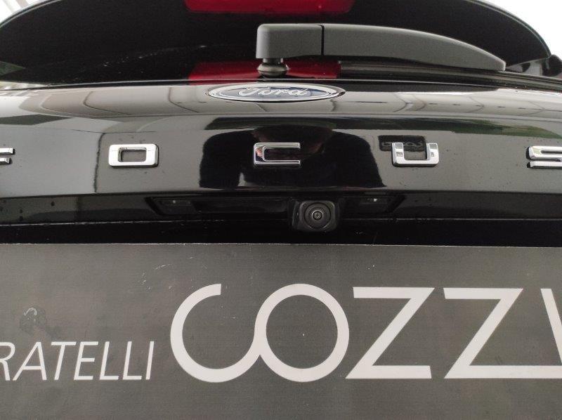 FORD Focus 4ª serie - Focus 1.5 EcoBlue 115 CV automatico 5p. ST-Line