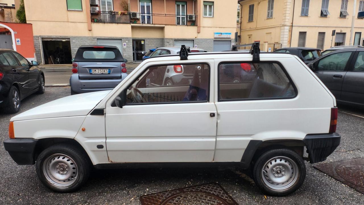 Fiat Panda 900 i.e. cat Young