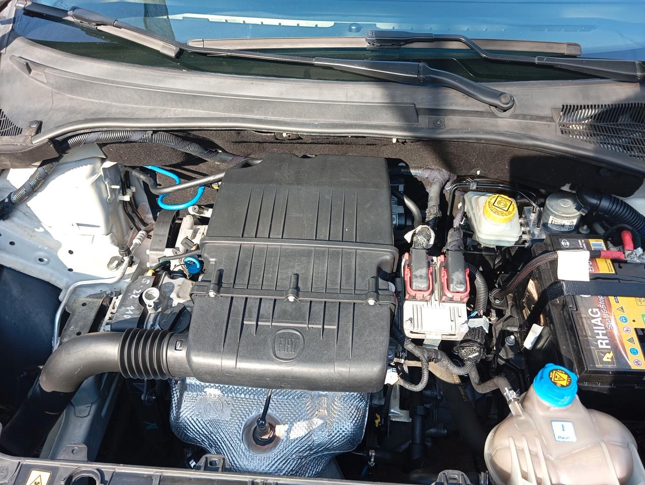 Fiat Punto Evo Punto Evo 1.2 5 porte PERMUTE