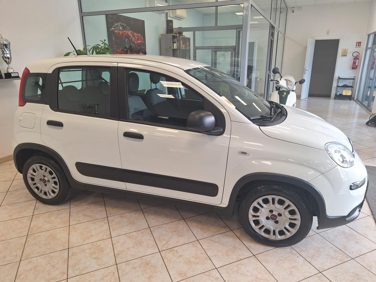 Fiat Panda 1.0 GSE S&S Hybrid Easy Van 4 posti
