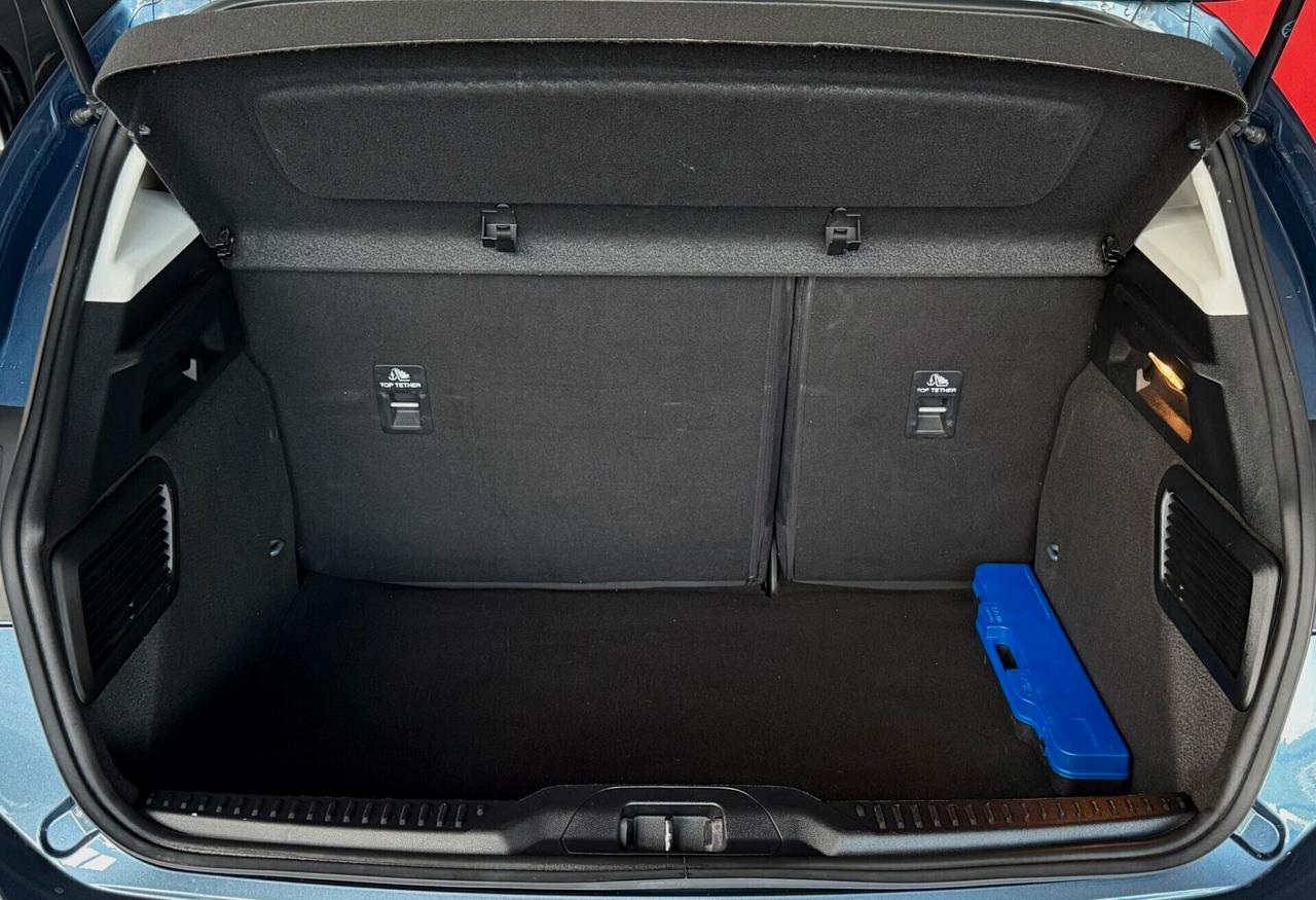 Ford Focus 1.5 EcoBlue 120 CV automatico 5p. Business Co-Pilot