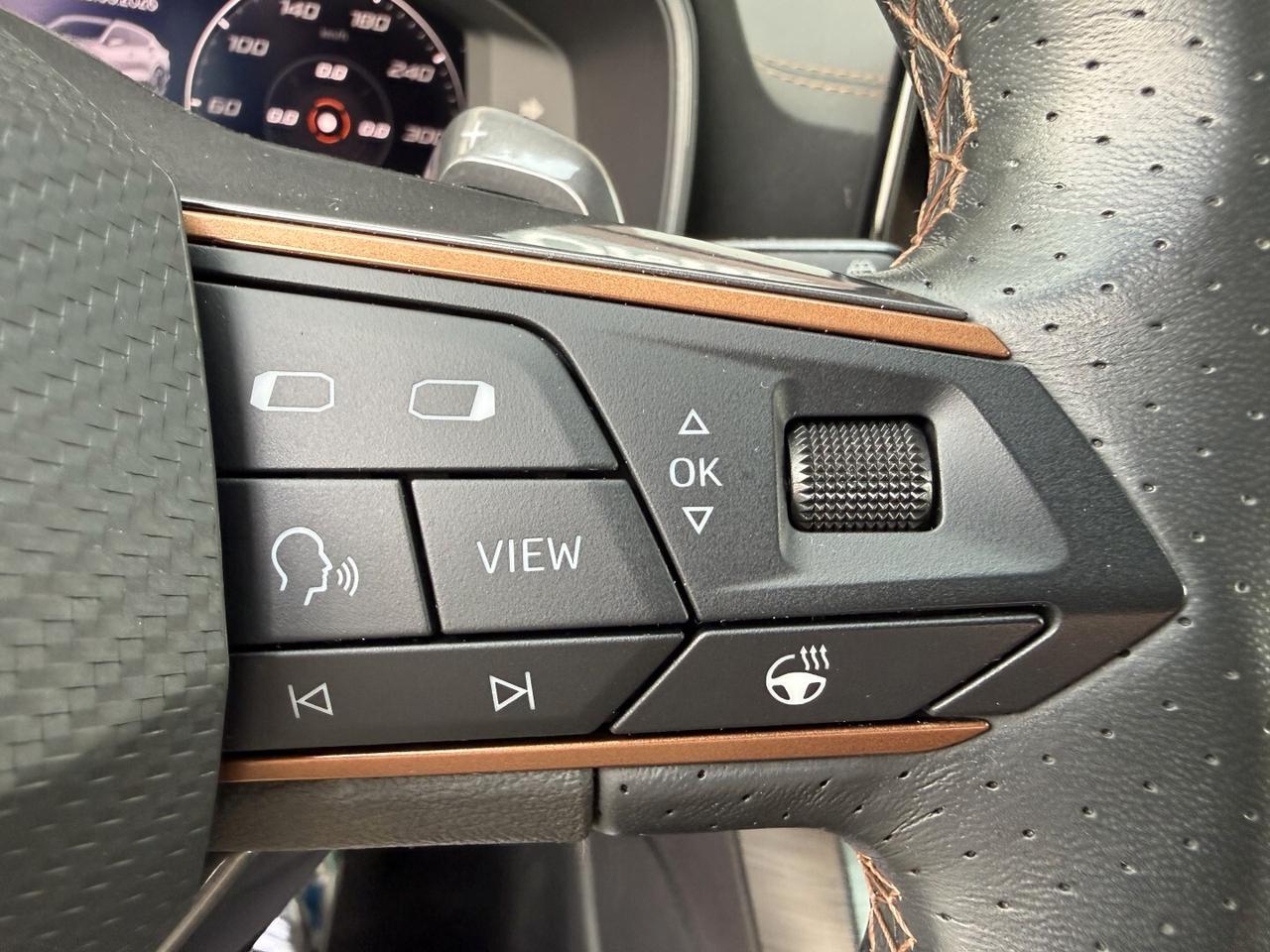 Cupra Formentor 1.5 Tsi 150cv Dsg