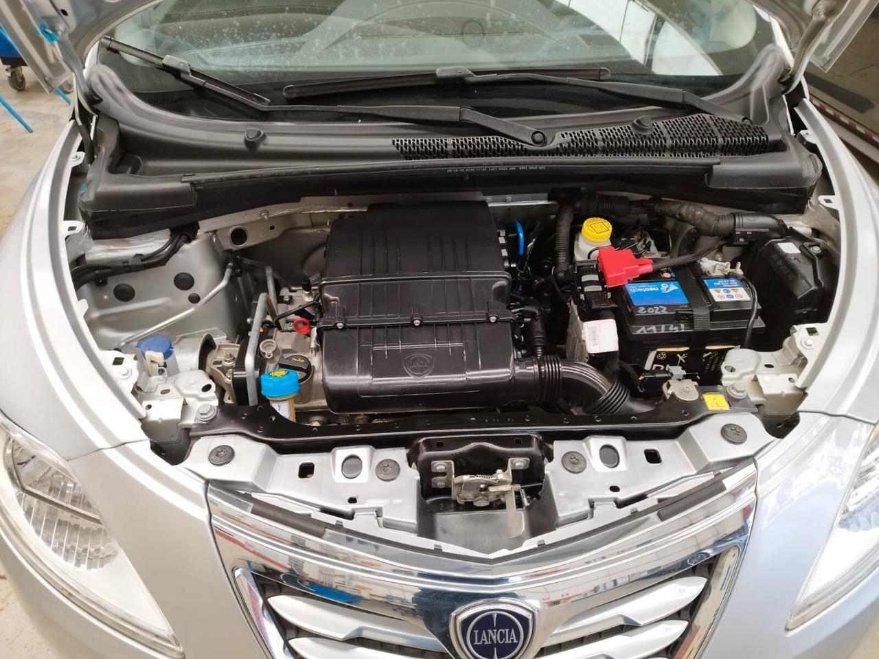 Lancia Ypsilon 1.2 69 CV 5 porte Elle