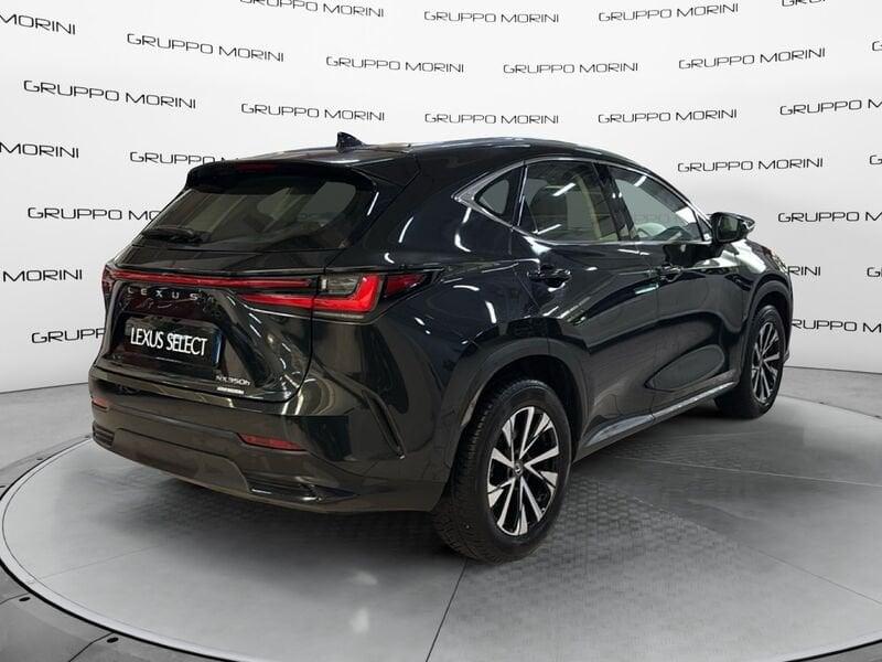 Lexus NX Hybrid Business 4WD
