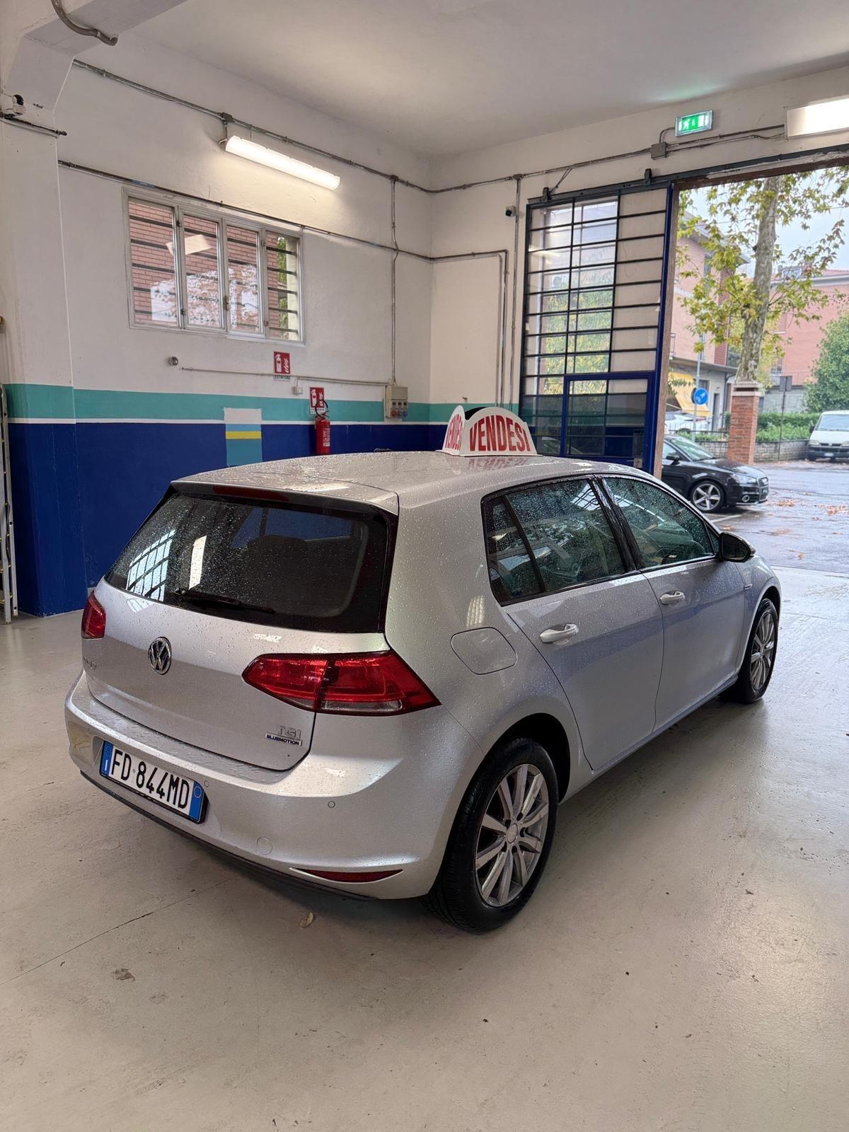 Volkswagen Golf 1.4 TGI 5p. Trendline BlueMotion
