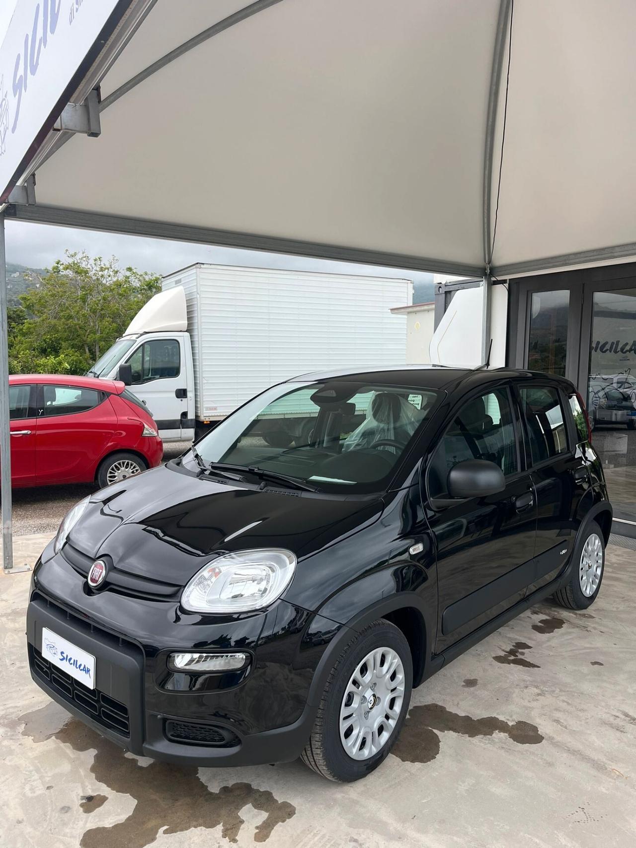 Fiat Panda 1.0 FireFly S&S Hybrid Pandina