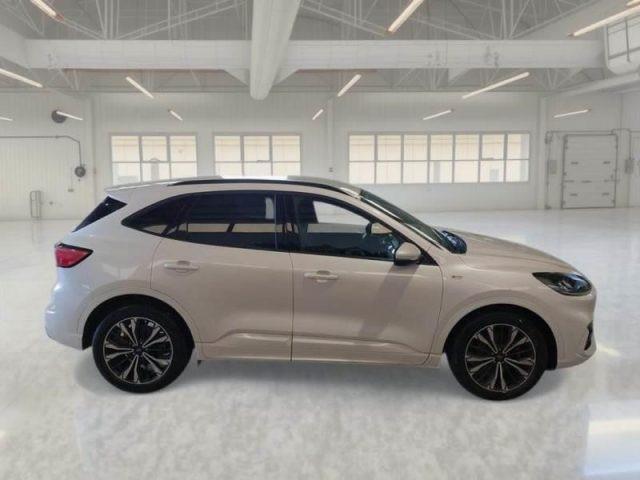 FORD Kuga 1.5 EcoBoost 150 CV 2WD ST-Line