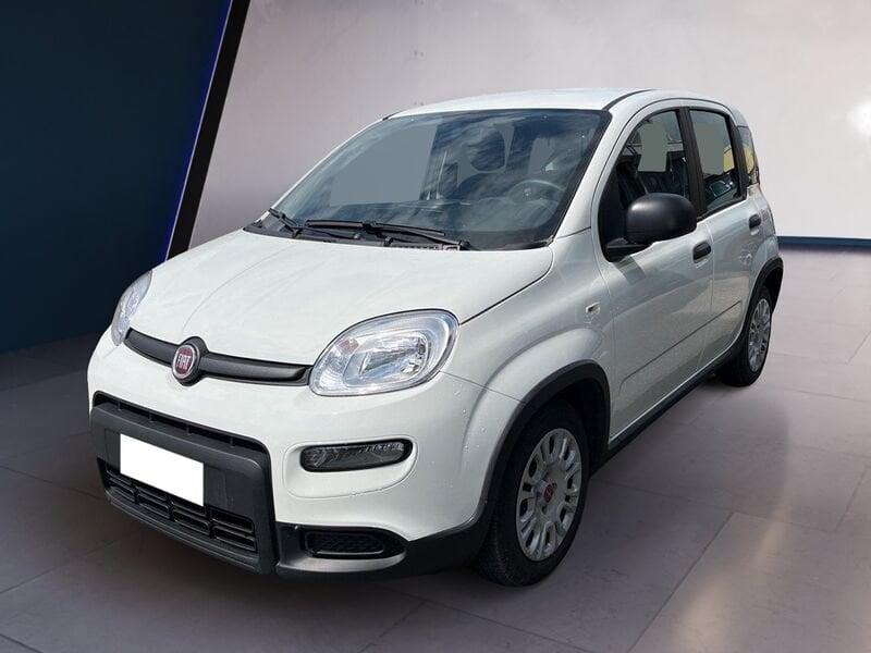 FIAT Panda My23 1.0 70cv Hybrid Panda