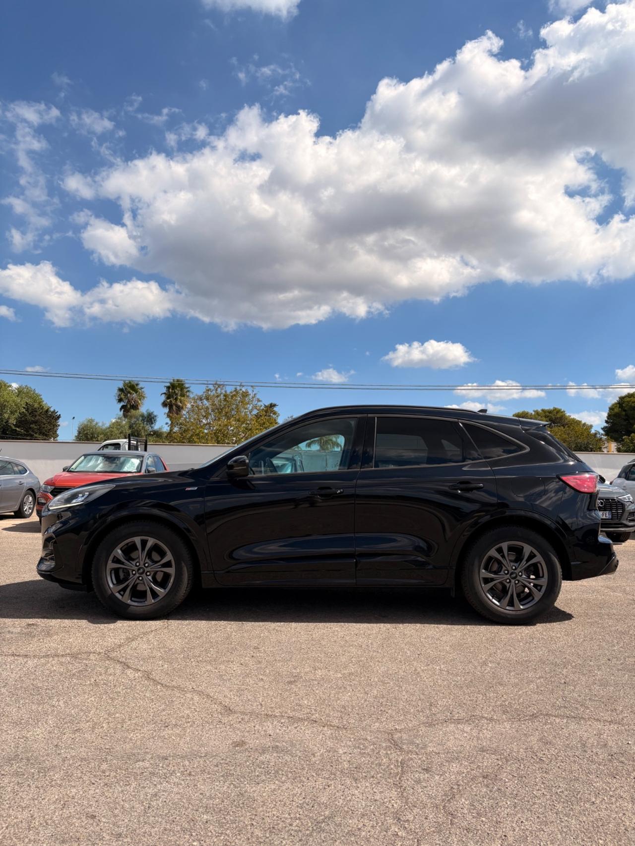 Ford Kuga 1.5 EcoBlue 120 CV 2WD ST-Line