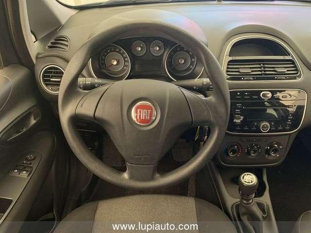 Fiat Punto Fiat Punto Adatta ai neo Patentati