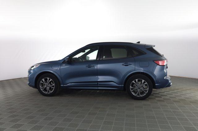 FORD Kuga Kuga 2.5 Plug In Hybrid 225 CV CVT 2WD ST-Line