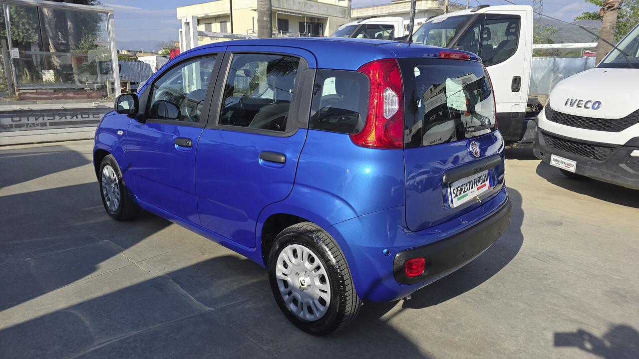 Fiat Panda 1.0 FireFly S&S Hybrid Pandina