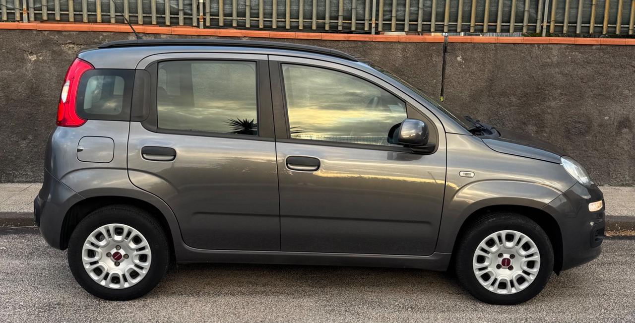 Fiat Panda 1.2 SOLO 60.000 KM CERTIFICATI