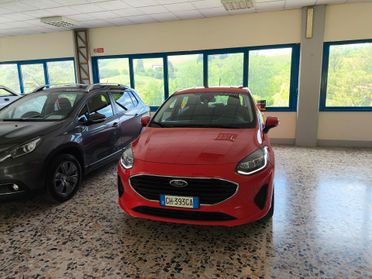 Ford Fiesta 1.1 75 CV 5 porte