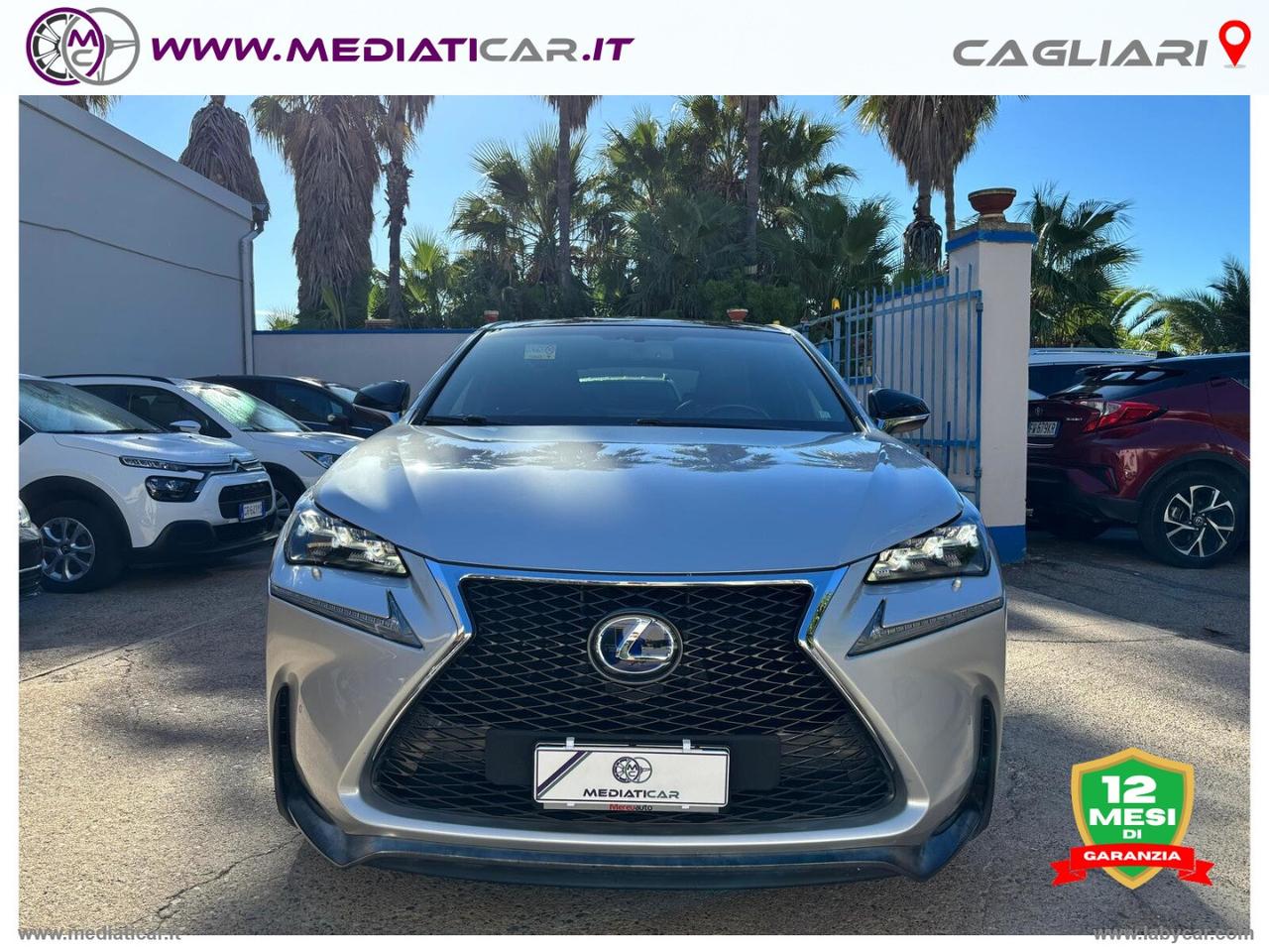 LEXUS NX Hybrid 4WD F-Sport